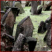 avatar - ambiente - praga - josefov - cimitero